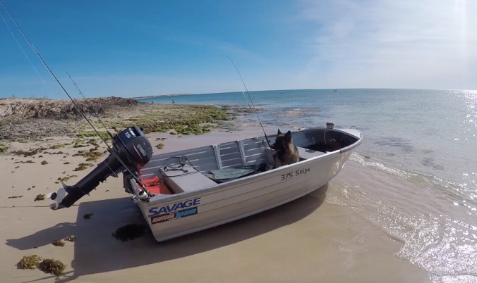 1.2_Barney in the tinny