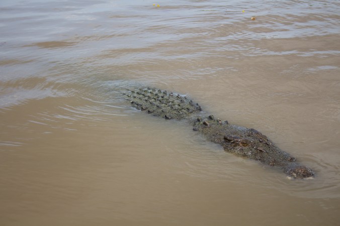 1_The Dominator, Adelaide River